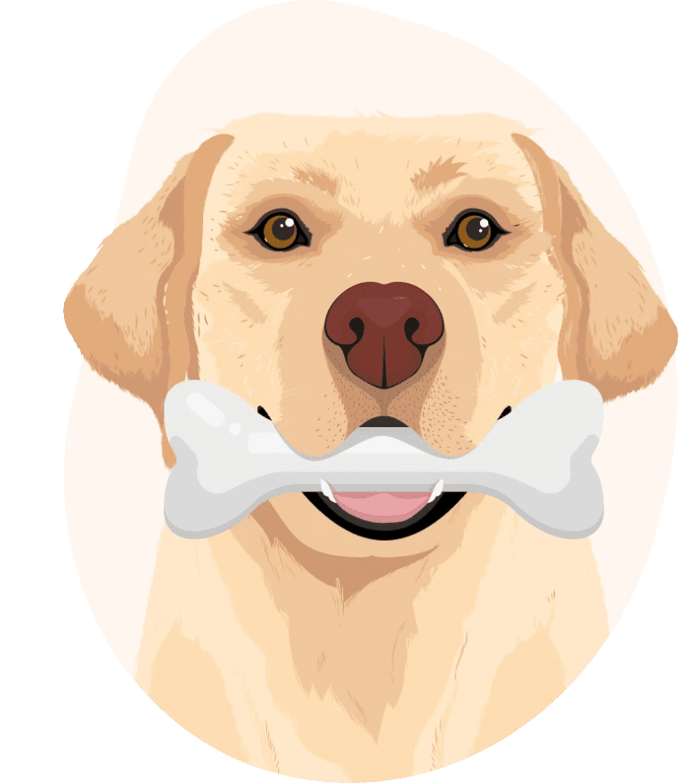 Pet Surgery Altavista Animal Hospital