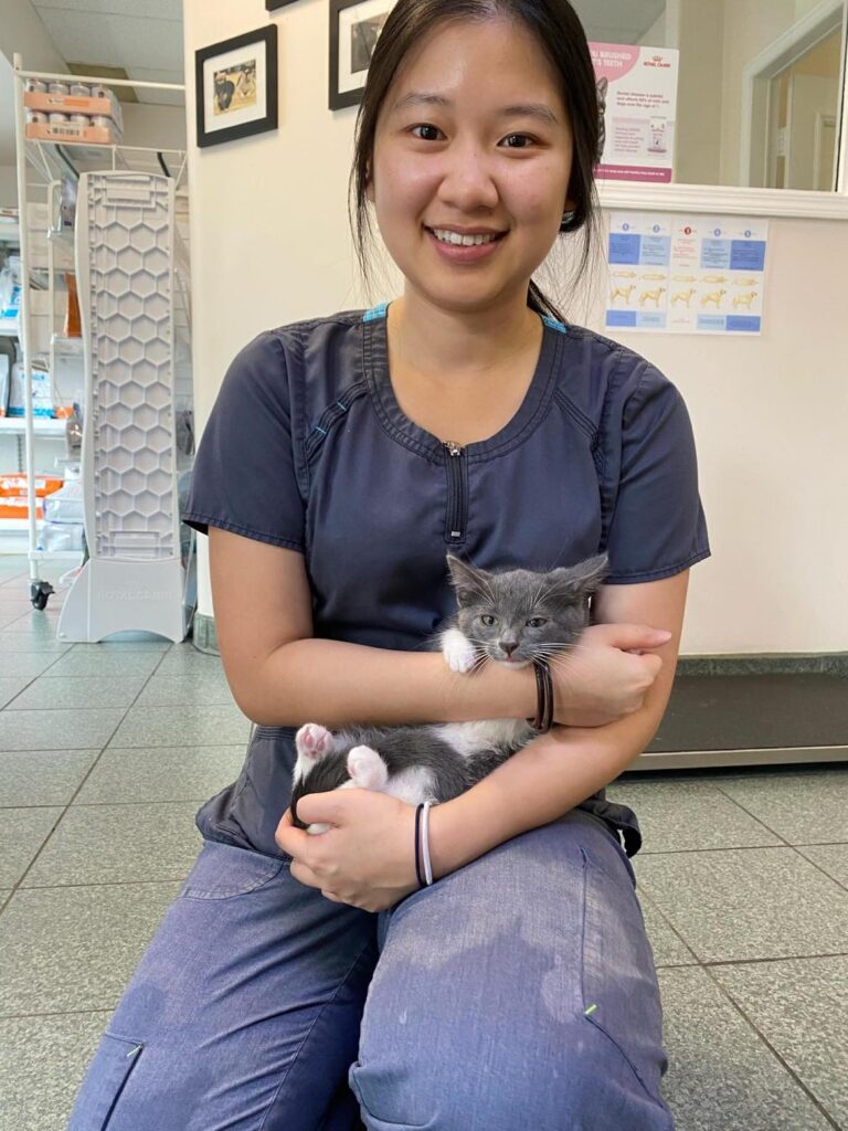 Meet Our Team Altavista Animal Hospital