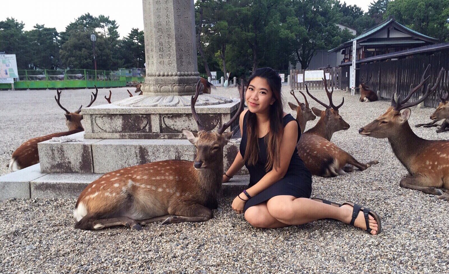 Meet Our Team Altavista Animal Hospital