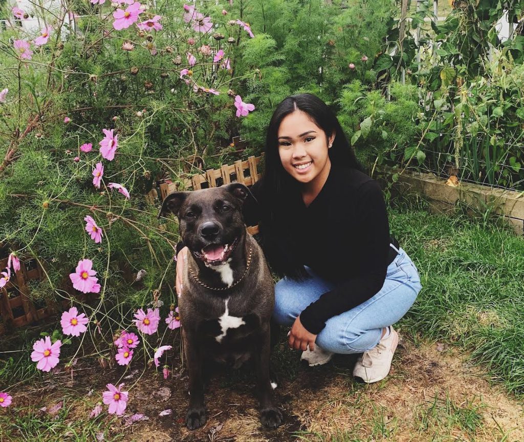 Meet Our Team Altavista Animal Hospital