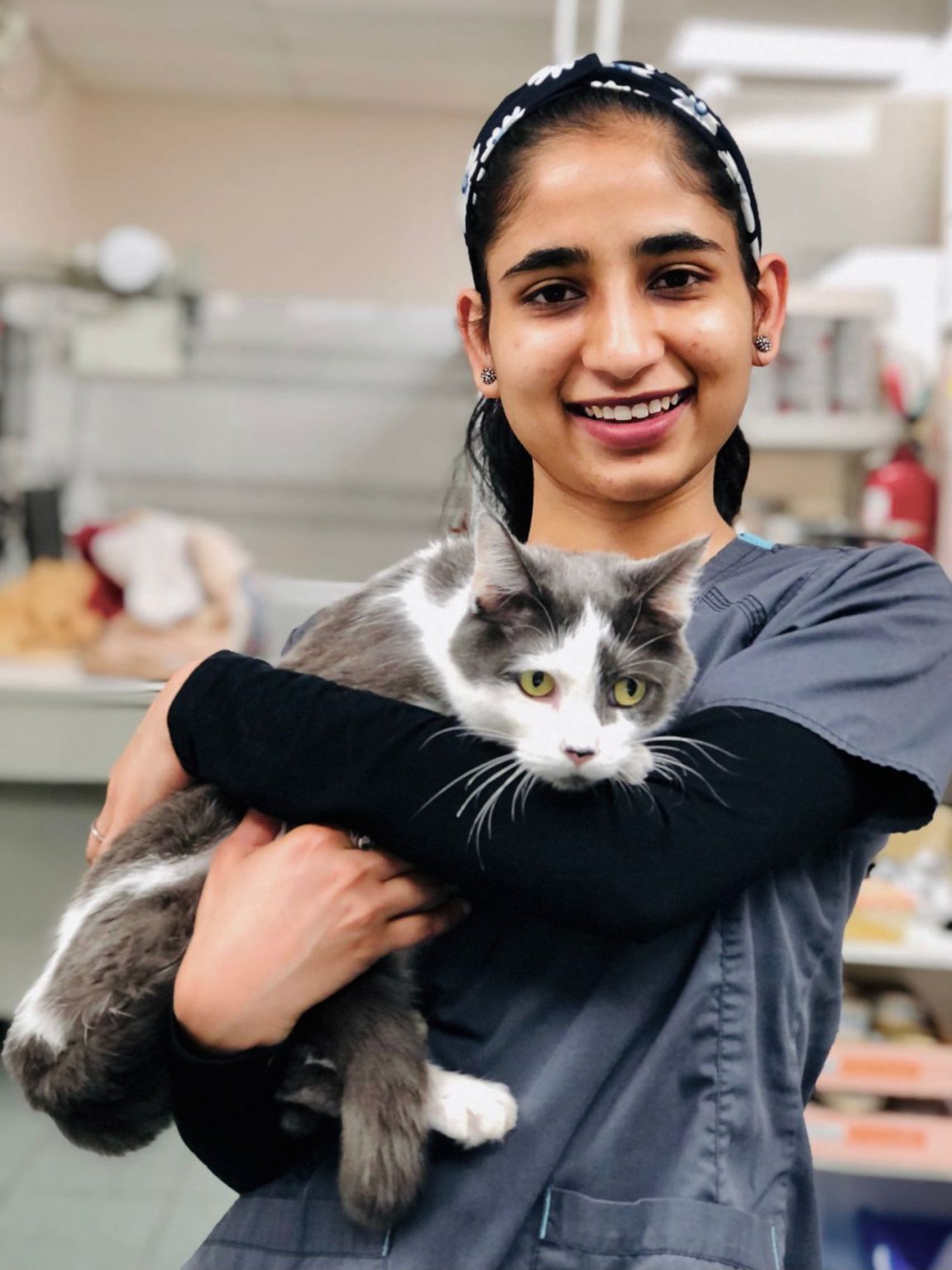 Meet Our Team Altavista Animal Hospital