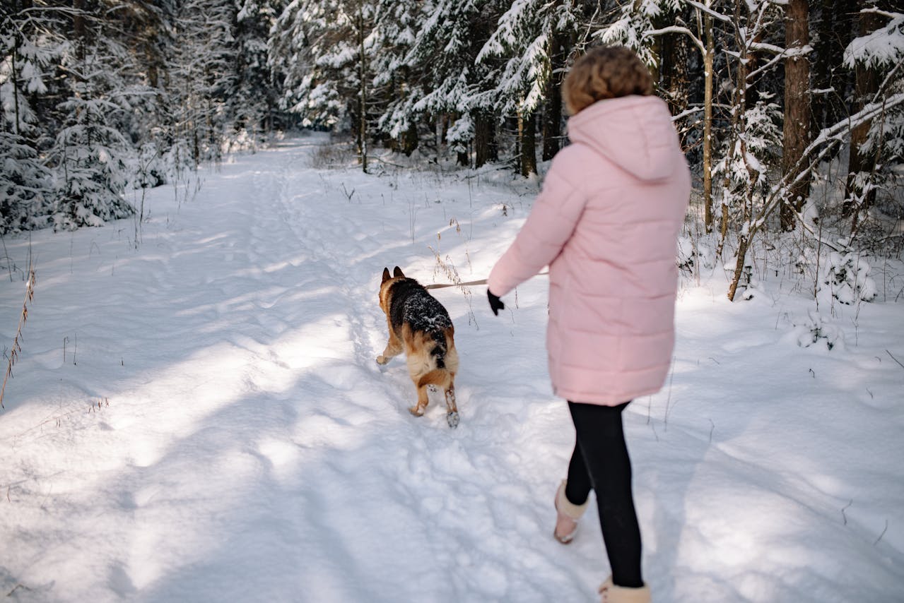 Frostbite in pets: What it looks like and how to prevent it