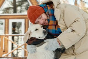 What are the most common cold weather emergencies for pets?