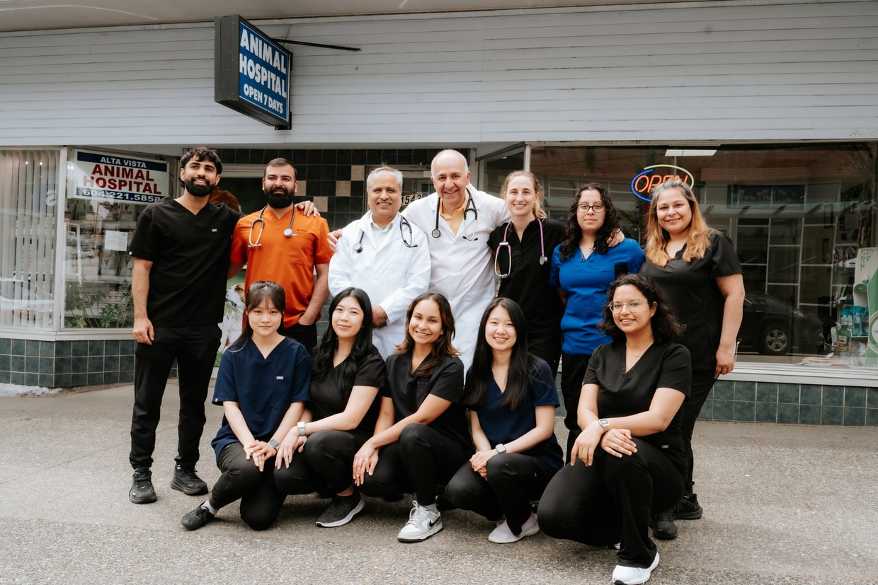 The veterinary team at Alta Vista Animal Hospital in Dunbar, Vancouver