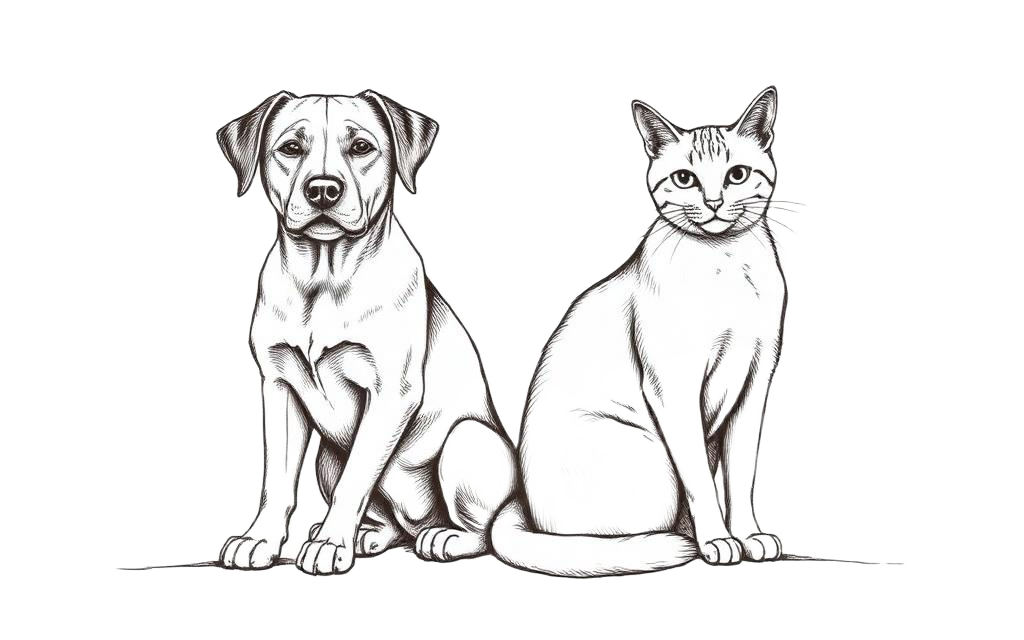 Illustration of a dog and a cat